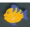 Peixe de madeira figura 2,5 x 3 cm, feito à mão, para pintar