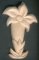 Genciana não encerada